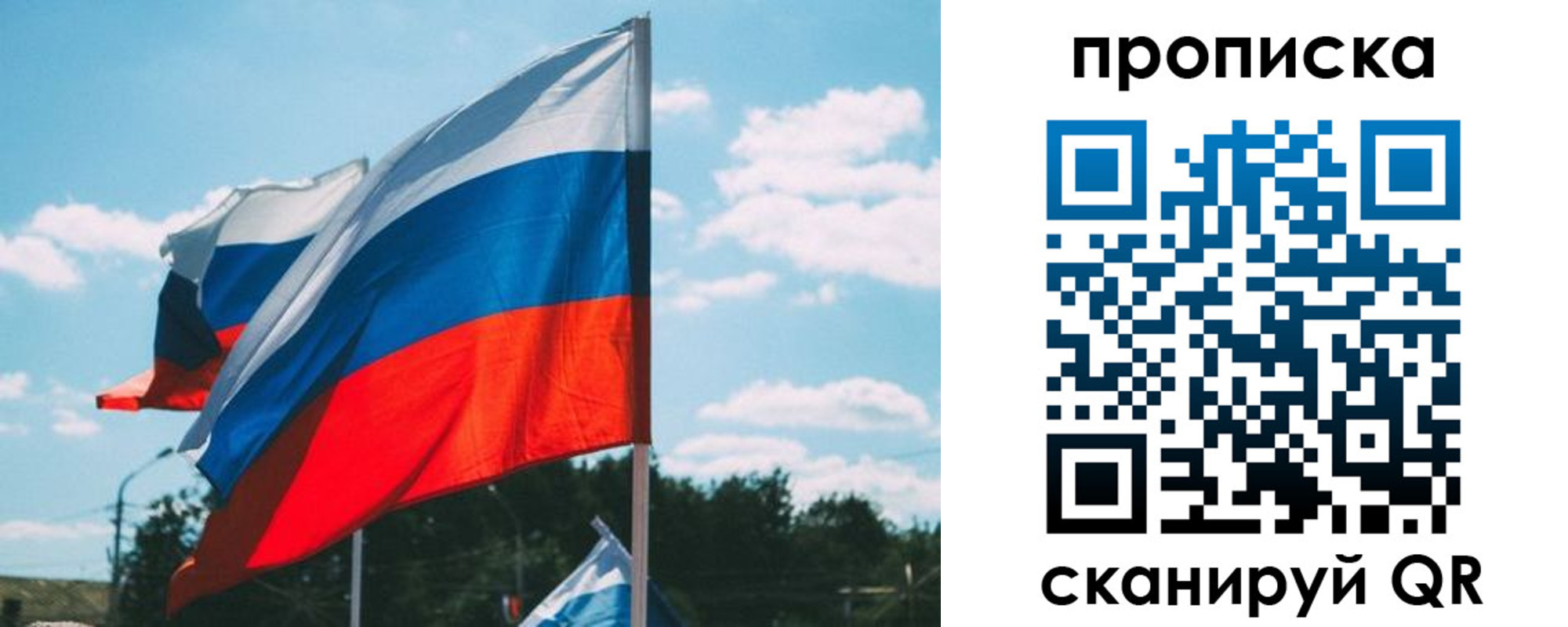 прописка поиск в Ростове